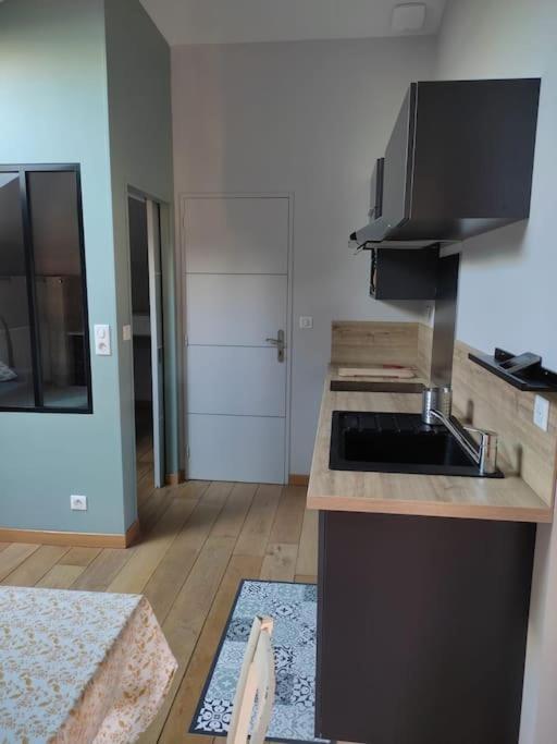 Appartement Le Saint Maur Neuville-de-Poitou Ngoại thất bức ảnh